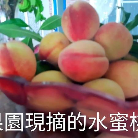 Taitung Linyuan B&B Thị trấn Đông Hà Ngoại thất bức ảnh