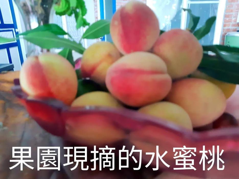 Taitung Linyuan B&B Thị trấn Đông Hà Ngoại thất bức ảnh
