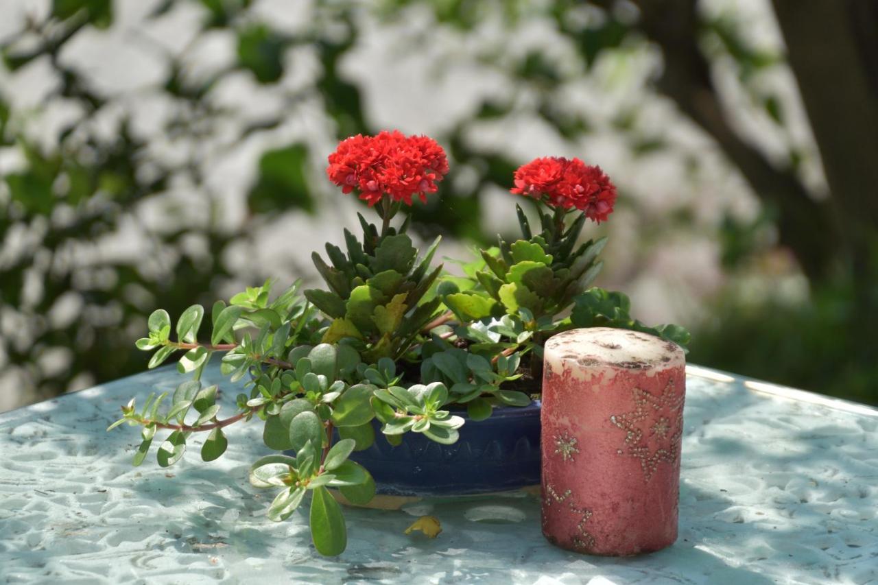 Taitung Linyuan B&B Thị trấn Đông Hà Ngoại thất bức ảnh